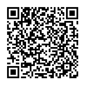 那肥硕巨汉和黑色巨犬却并没有注意这六尾白狐貌似被砸退得稍远了一点二维码生成