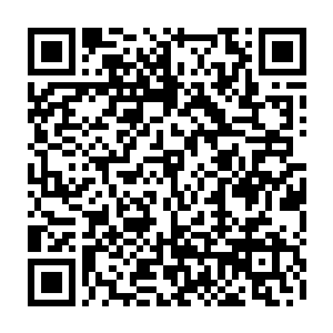 那肯定会拖着虚弱到无法抵御任何风险的身体另找一处不起眼的地方躲藏二维码生成