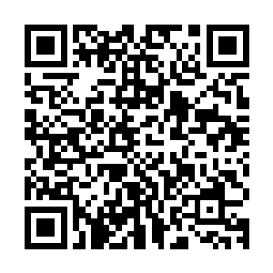 那自然也是有着极大区别的……单单是它们的生活环境的不一样二维码生成