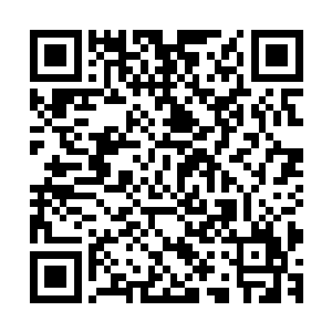 那蜂拥而来的煞兽终于和死守在那里的人类修士撞击到了一块二维码生成