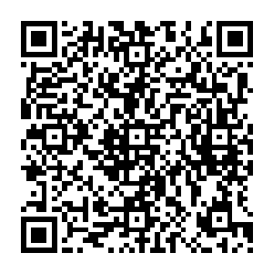 那被你们所夺走的梦想神笔也会根据跟我族血脉之间的联系在我族之中找到新的守护者二维码生成