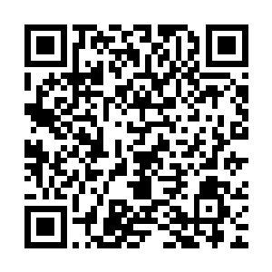 那被刮了尸油满是划痕的手在许诺那绝美的脸蛋上轻轻的抚摸着二维码生成