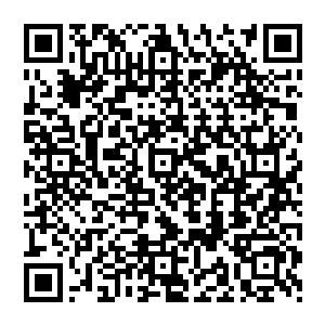 那诺维斯基似乎一点都不把赵纯良放在眼里 也不主动要发球 而是绅士的将球让给林思伊发二维码生成