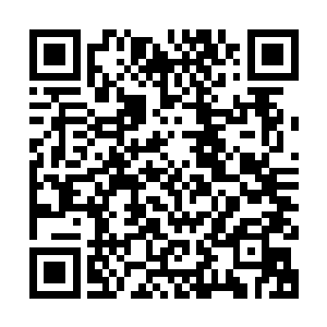 那超级巨人也终于在塔尔塔罗斯的力量支撑之下强行破开了封印二维码生成