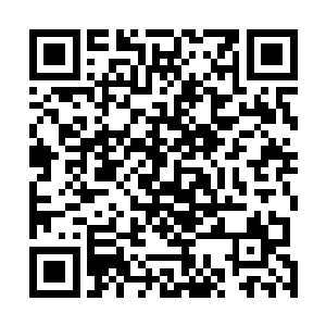 那趾高气扬的模样可让不少贵妇心生不满却又无可奈何的二维码生成
