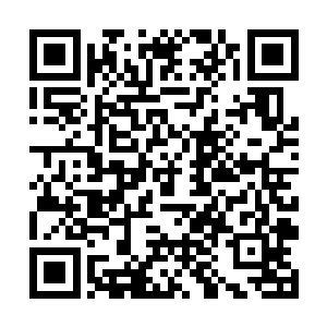 那边大厅之中第二轮的表演其实也已经进行了一段了二维码生成