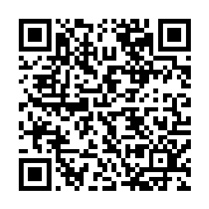 那边将伤口全部处理完毕的林塔却没有什么气急败坏的样子二维码生成