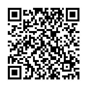 那边的学徒和伙计都知道木萦这是在教他们要如何采摘的方法二维码生成