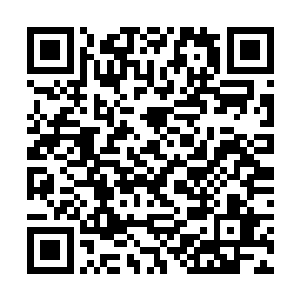 那边通过何铿和雷达介绍的投资商已经有了几次接触二维码生成