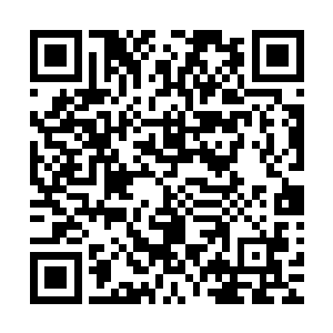 那近二十个分神中期的修士刚刚撕破了笼罩在他们身上的雷网二维码生成
