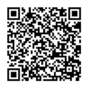那这次的犯人……为什么就不能在信上追加熊吉的名字……栽赃嫁祸呢二维码生成