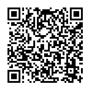 那道原本潜伏在那儿崩散的血影分身竟是从虚无中被回朔会原本模样二维码生成