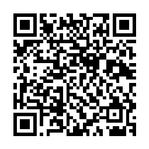 那道金属防护门的整个门框和门板一下子就发生了巨大的形变二维码生成