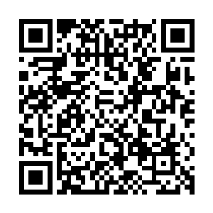 那隐藏在云雾中的一双冰冷的眼眸随意的撇了眼昏迷在地的剑尘二维码生成