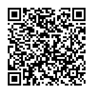 那零零散散的尖锐叫骂声让舞台上煤油炉乐队的表演显得越发滑稽起来二维码生成