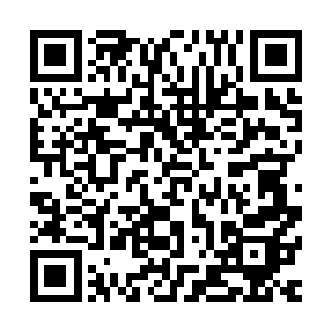 那雷电光柱和那暗绿色光柱便在峡谷的中央狠狠撞击在了一起二维码生成