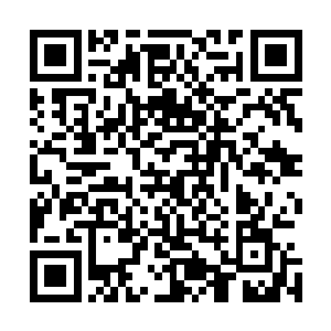 那青色大门上竟也刻满了与这庙宇外墙一般无二的精细鳞片二维码生成