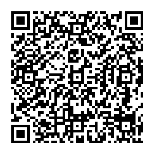 那颗小树上的铁胎淬体果的成熟进度条依然一动不动的停留在张铁来参加试炼前的那个位置上二维码生成