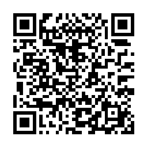 邵玄训练凯撒拉屎撒尿都和洞里孩子一样到专门的地方去拉二维码生成