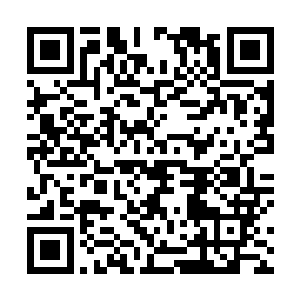 郑浩和李仁带着云桃推到了差不多到白羽门地界的样子二维码生成