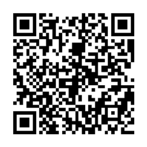 郑素馨如今已经习惯了这种不动声色的富足和藏在骨子里的张扬二维码生成