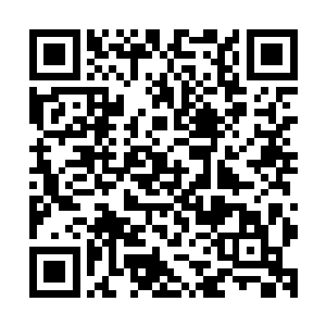 部分人族大儒和大学士带着众多翰林与进士引动一些冰帝侍卫二维码生成