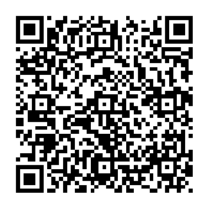 部落的人已经习惯在荣耀之路上看到队中的另类――迄今为止唯一一匹能随队狩猎的动物二维码生成