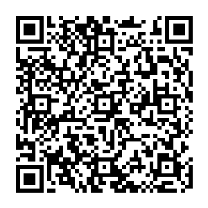 都会传递出无比凶悍的力量进入了脚下的沙土中……即便是经过了十几米深度的减弱二维码生成