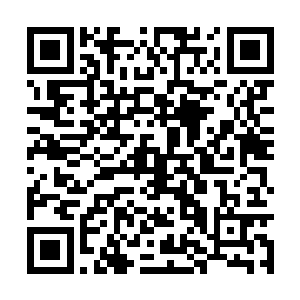 都可以在这一轮中国经济发展大潮中赚得钵满盆满二维码生成