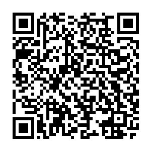 都察院经历司经历罗嘉宾和户科都给事中张沪江两个表兄弟正在家中佐酒二维码生成