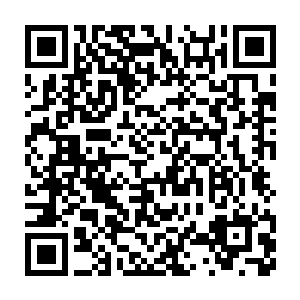 都必须适应自己是在物质世界生存的这一现实……而这个世界变了二维码生成