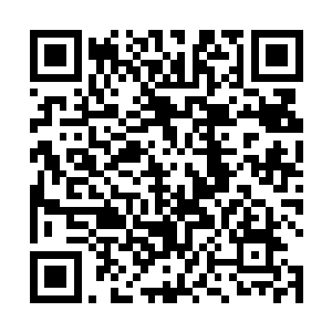 都忍不住感觉到一阵冰冷的……倒不是真的怕这一条狗二维码生成