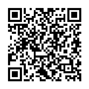 都是为了在最后动手时刻才集中拿出来给家族中的大修士使用二维码生成