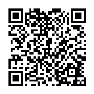 都是从无意中从祖屋的密室里找到的一本种植秘籍上发现的二维码生成
