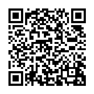 都是参加这次中医药展览贸易大会的商家和个人存放在这里的二维码生成