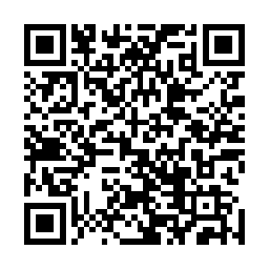 都是叶黑城他们三个上次去参加土轮堂成人礼舞会时的随员二维码生成