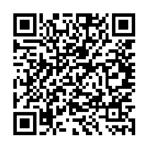 都是和塞内尔家族一样的北方沦陷区的三眼会家族二维码生成