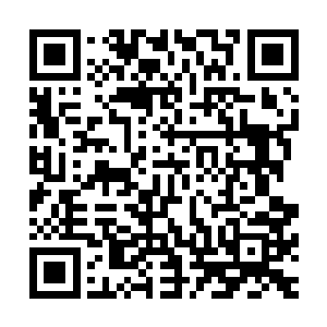 都是器灵通过吸纳与融合上一任圣光塔的残缺记忆之后得到的二维码生成