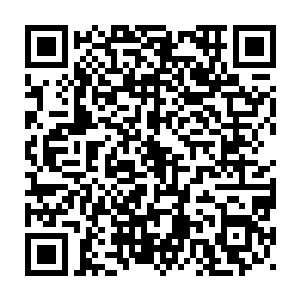 都是在东方和南方的宗门在彼此或者与西方的争斗中损耗最严重的时候二维码生成