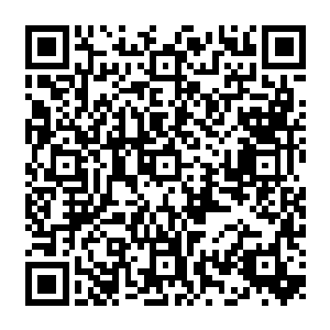都是拥有着传世神器的宗门势力……虽说他们这些年轻人还没有资格接触到传世神器二维码生成