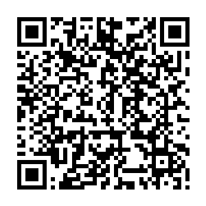 都是极其优秀的特效……在惊悚乐园这种把人物属性模糊化处理的游戏里二维码生成