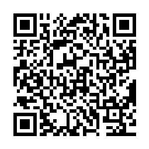 都是没有成为设计师的搬砖工用瘦弱的肩膀和细嫩的手臂修筑的二维码生成