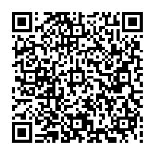 都是绝倾殇这段时间从崆峒印里的仙花灵草上取下来的种子种在万物象的这片土地上二维码生成