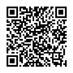 都是被凌厉的罡气撕裂的……雪白的须发也是凌乱无比的二维码生成