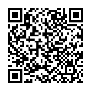 都被方源一次次动用后患无穷杀招推延到了下一次去二维码生成