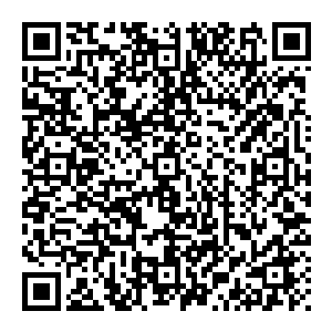 酒吧里那些高声谈论着的客人们在议论着黑炎城市政厅再次提高了探索和绘制黑炎城周边地图上北方和西方黑色区域的价格二维码生成