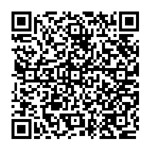 酒店的刺杀事件和之前他阻拦家庭医生处理黄埔云伤口的行为已经让叶秋起了戒心二维码生成