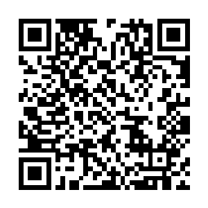 醒心有几次还做了假动作企图从晏西的口袋里找到戒指二维码生成