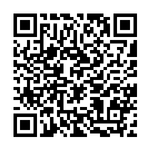 醒过来的苗小狸当即继续用自己控制活蛊的办法引这堆蛆虫厮杀二维码生成