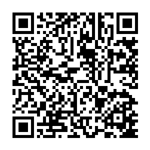 采飞从这几天的打探中得知树男催生的药草之药性都没有任何损失二维码生成